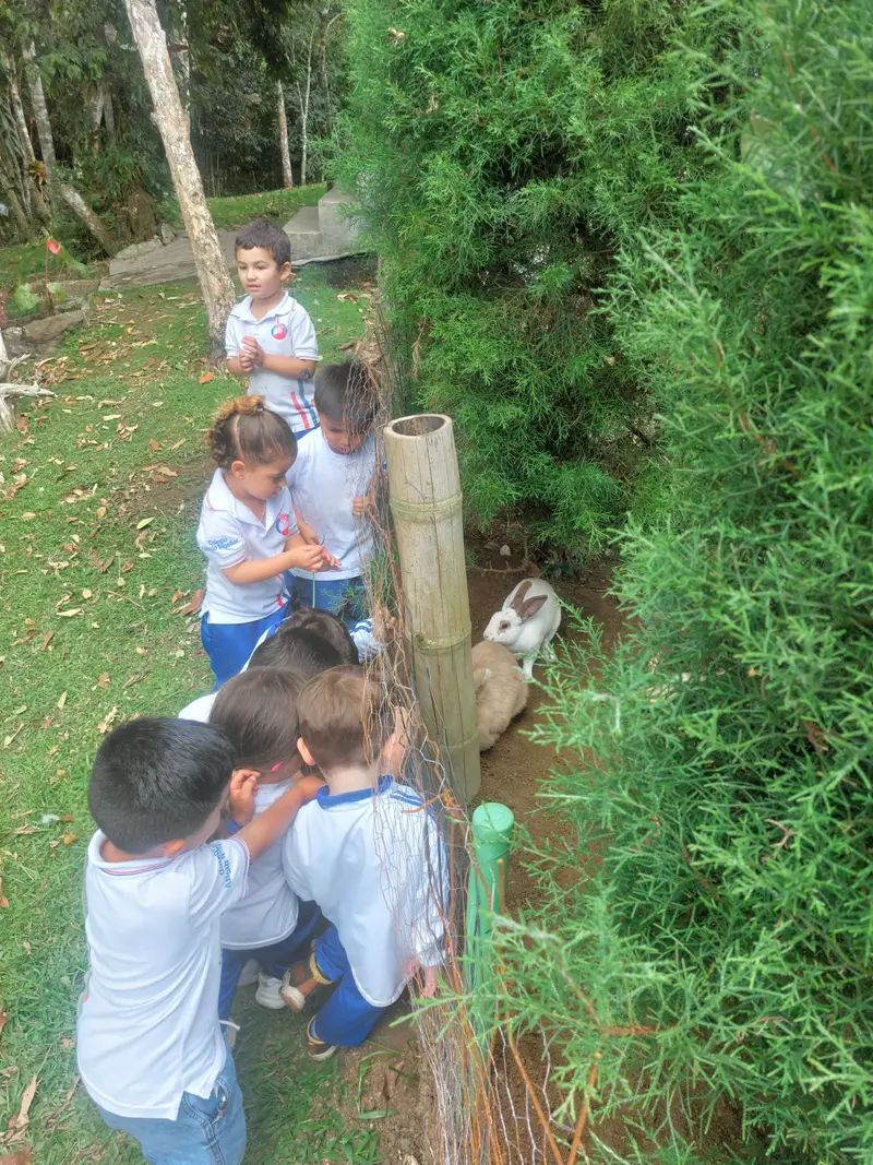 Niños de preescolar explorando los árboles del campus campestre